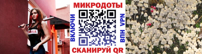 Псилоцибиновые грибы мухоморы дарнет шоп Дегтярск